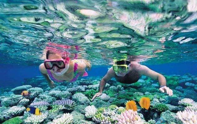 Lặn ngắm san hô tại Cù Lao Chàm